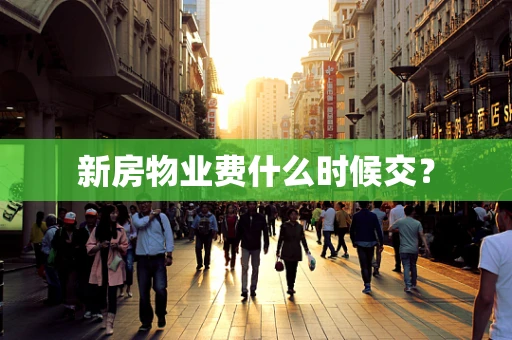 新房物业费什么时候交？