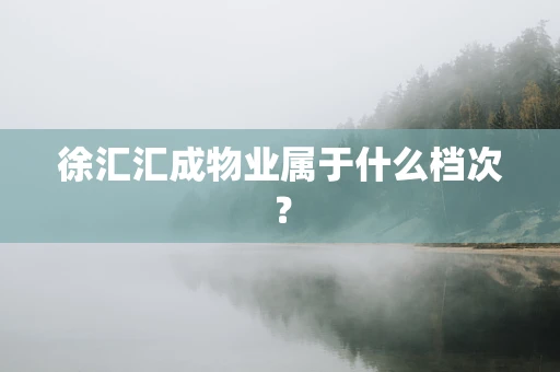 徐汇汇成物业属于什么档次？