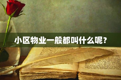 小区物业一般都叫什么呢？