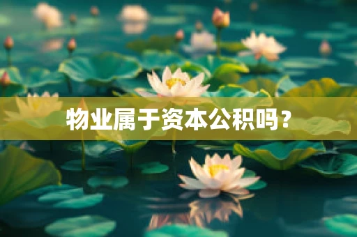 物业属于资本公积吗？