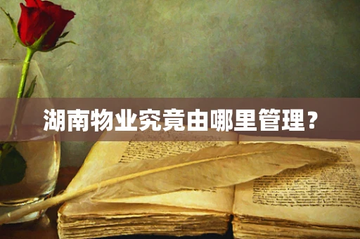 湖南物业究竟由哪里管理？