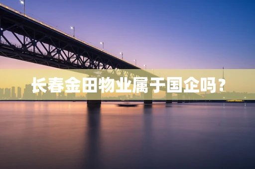 长春金田物业属于国企吗？