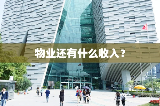 物业还有什么收入？