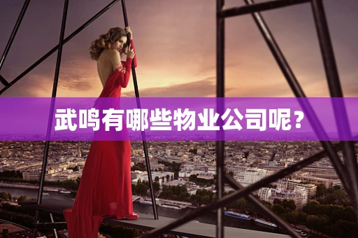武鸣有哪些物业公司呢？