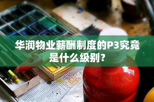华润物业薪酬制度的P3究竟是什么级别？