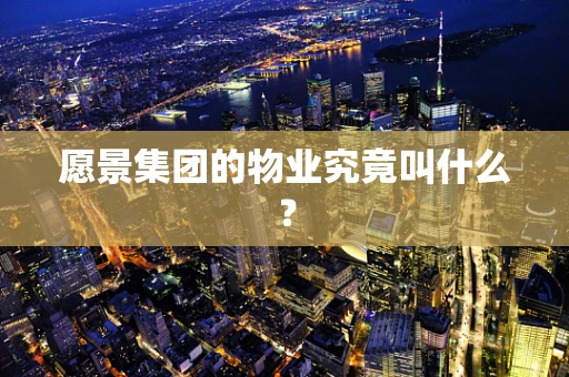 愿景集团的物业究竟叫什么？