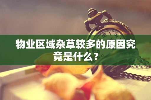 物业区域杂草较多的原因究竟是什么？