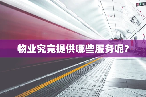 物业究竟提供哪些服务呢？
