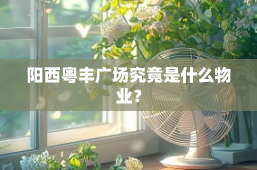 阳西粤丰广场究竟是什么物业？