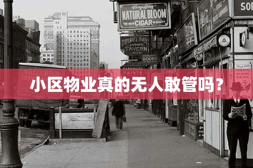 小区物业真的无人敢管吗？