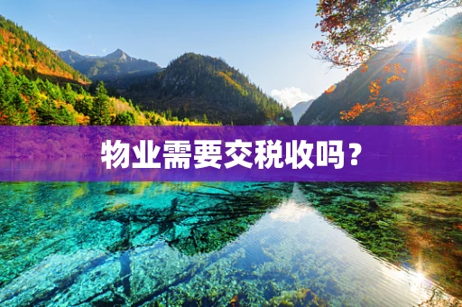 物业需要交税收吗？