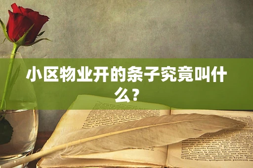 小区物业开的条子究竟叫什么？