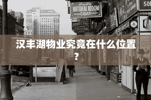 汉丰湖物业究竟在什么位置？