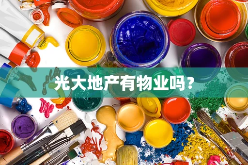光大地产有物业吗？