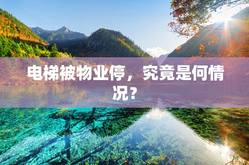 电梯被物业停，究竟是何情况？