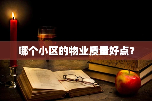 哪个小区的物业质量好点？