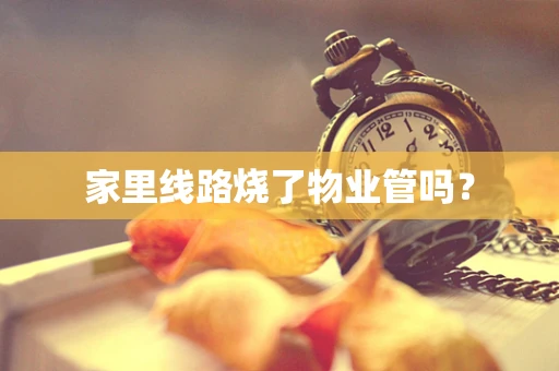 家里线路烧了物业管吗？