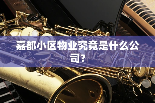 嘉都小区物业究竟是什么公司？