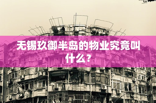 无锡玖御半岛的物业究竟叫什么？