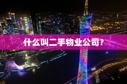 什么叫二手物业公司？