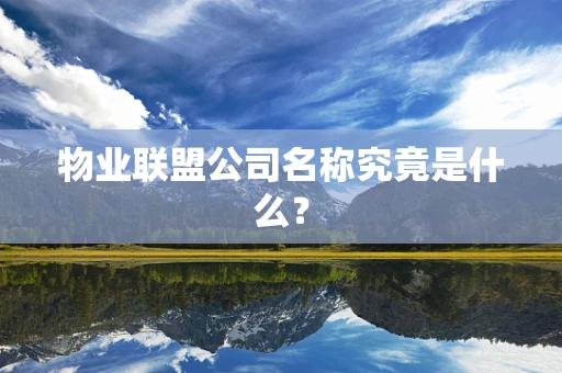 物业联盟公司名称究竟是什么？