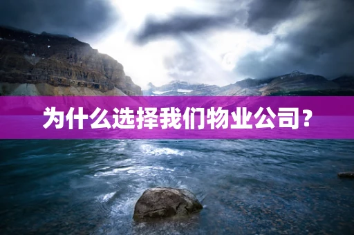 为什么选择我们物业公司？
