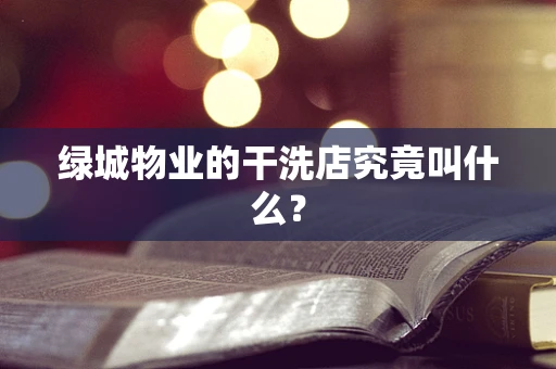 绿城物业的干洗店究竟叫什么？