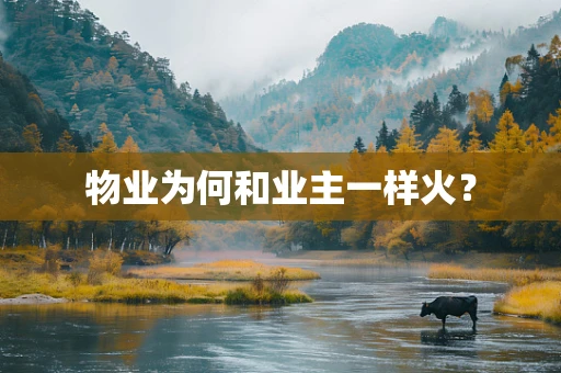物业为何和业主一样火？