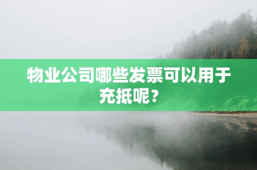 物业公司哪些发票可以用于充抵呢？