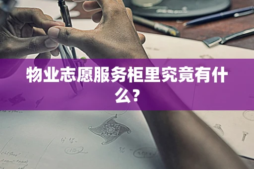 物业志愿服务柜里究竟有什么？