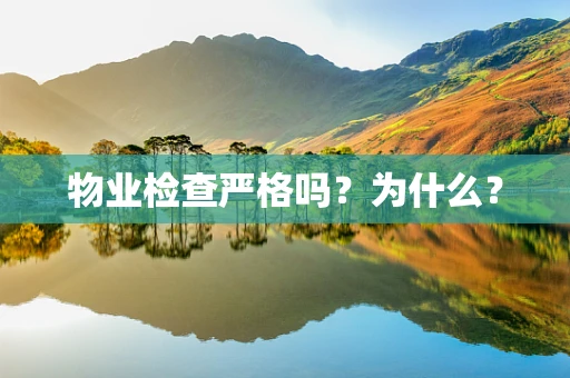 物业检查严格吗？为什么？