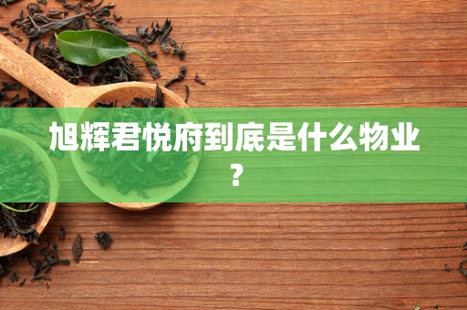 旭辉君悦府到底是什么物业？