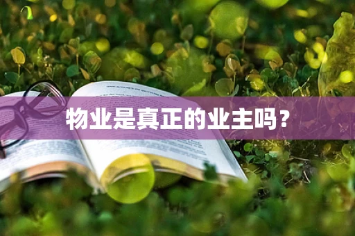 物业是真正的业主吗？