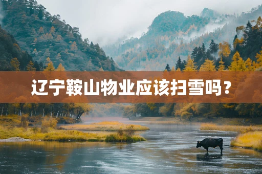 辽宁鞍山物业应该扫雪吗？