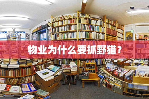 物业为什么要抓野猫？