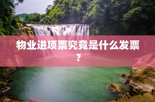 物业进项票究竟是什么发票？