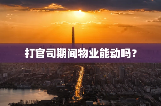 打官司期间物业能动吗？