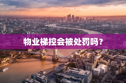 物业梯控会被处罚吗？