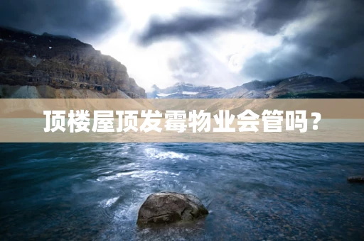 顶楼屋顶发霉物业会管吗？