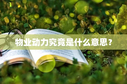 物业动力究竟是什么意思？