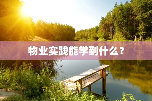 物业实践能学到什么？