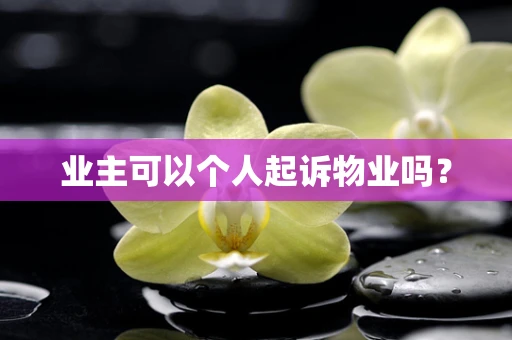 业主可以个人起诉物业吗？