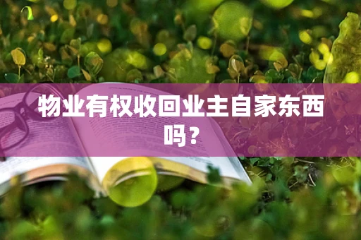 物业有权收回业主自家东西吗？