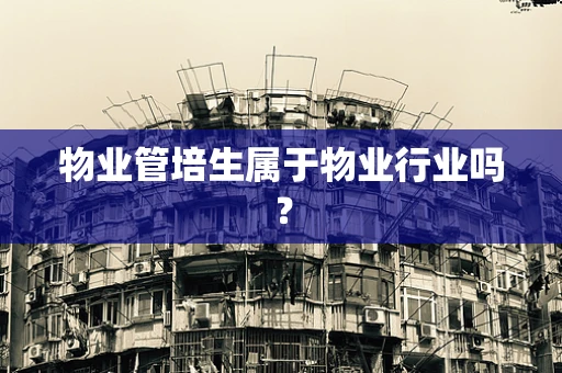 物业管培生属于物业行业吗？