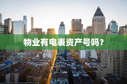 物业有电表资产号吗？