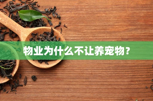 物业为什么不让养宠物？