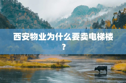 西安物业为什么要卖电梯楼？