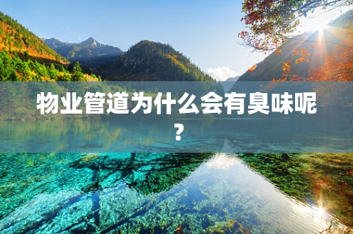 物业管道为什么会有臭味呢？