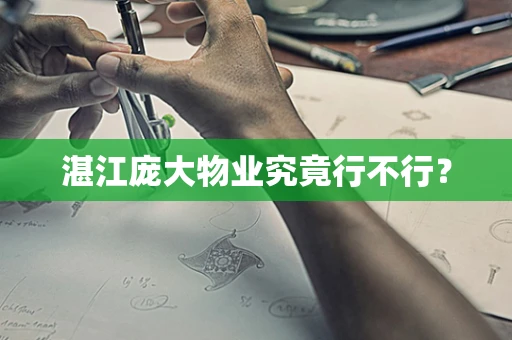 湛江庞大物业究竟行不行？
