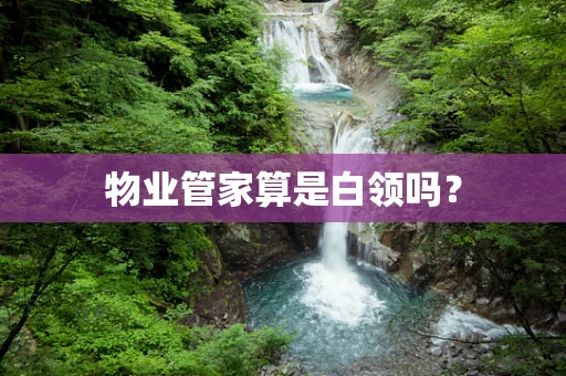 物业管家算是白领吗？